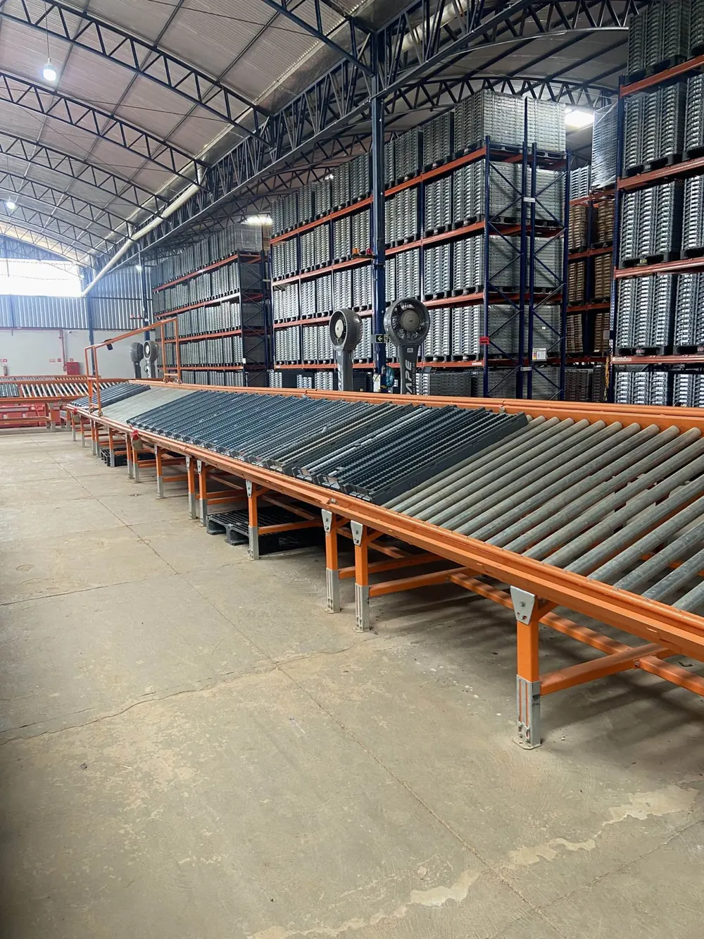 Linha de bancadas inclinadas com roletes ROC GEO em galpão de geologia